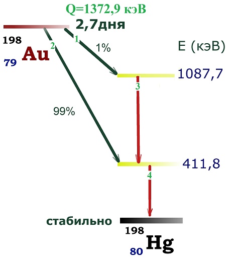 схема распада ядра золота-198